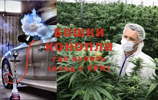 дмт Пестово