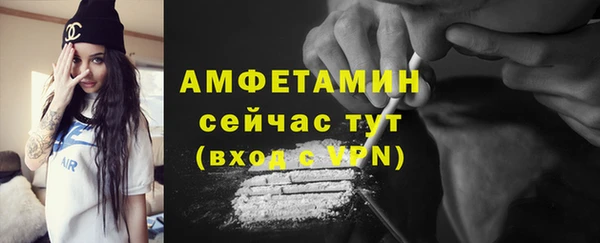 сатива Пересвет