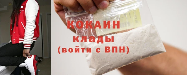 индика Зеленокумск