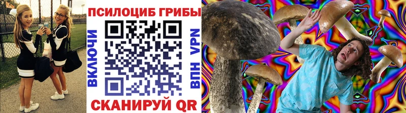 продажа наркотиков  Суздаль  Псилоцибиновые грибы мицелий 